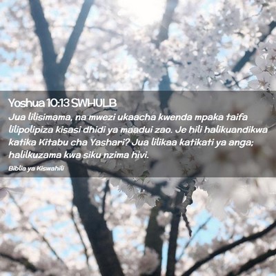 Picture 02 - Yoshua 10:13 SWHULB - Jua lilisimama, na mwezi ukaacha kwenda mpaka - Bible Verse Picture
