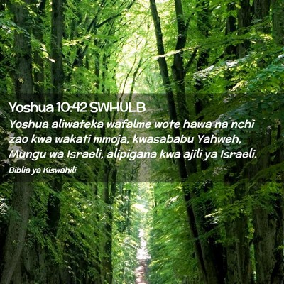 Picture 02 - Yoshua 10:42 SWHULB - Yoshua aliwateka wafalme wote hawa na nchi zao - Bible Verse Picture