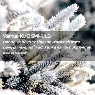 Picture 02 - Yoshua 10:43 SWHULB - Baada ya hayo Yoshua na Waisraeli wote pamoja - Bible Verse Picture