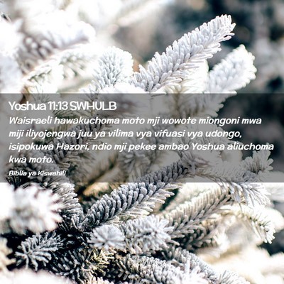 Picture 02 - Yoshua 11:13 SWHULB - Waisraeli hawakuchoma moto mji wowote miongoni - Bible Verse Picture