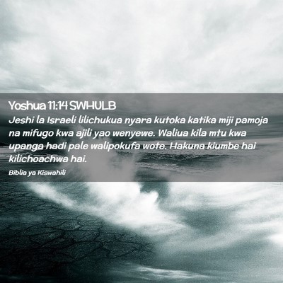 Picture 02 - Yoshua 11:14 SWHULB - Jeshi la Israeli lilichukua nyara kutoka katika - Bible Verse Picture