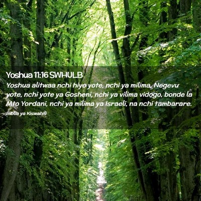 Picture 02 - Yoshua 11:16 SWHULB - Yoshua alitwaa nchi hiyo yote, nchi ya milima, - Bible Verse Picture