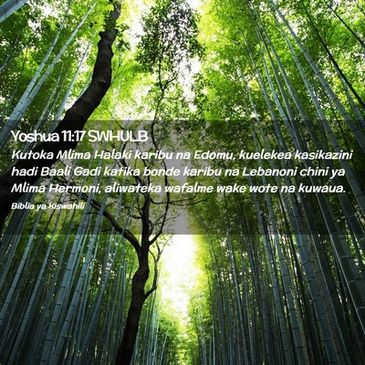 Picture 02 - Yoshua 11:17 SWHULB - Kutoka Mlima Halaki karibu na Edomu, kuelekea - Bible Verse Picture