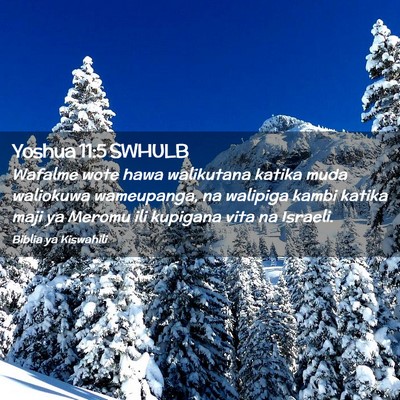 Picture 02 - Yoshua 11:5 SWHULB - Wafalme wote hawa walikutana katika muda - Bible Verse Picture