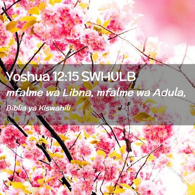Picture 02 - Yoshua 12:15 SWHULB - mfalme wa Libna, mfalme wa - Bible Verse Picture