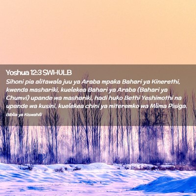 Picture 02 - Yoshua 12:3 SWHULB - Sihoni pia alitawala juu ya Araba mpaka Bahari ya - Bible Verse Picture