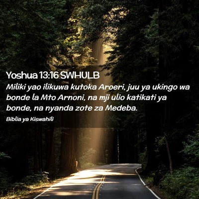 Picture 02 - Yoshua 13:16 SWHULB - Miliki yao ilikuwa kutoka Aroeri, juu ya ukingo - Bible Verse Picture