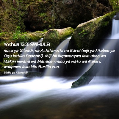Picture 02 - Yoshua 13:31 SWHULB - nusu ya Gileadi, na Ashitarothi na Edrei (miji ya - Bible Verse Picture