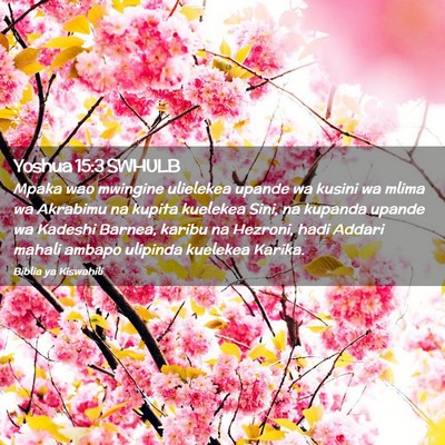 Picture 02 - Yoshua 15:3 SWHULB - Mpaka wao mwingine ulielekea upande wa kusini wa - Bible Verse Picture