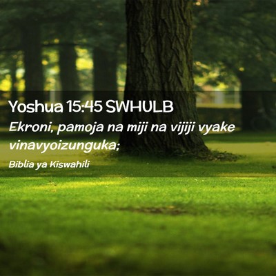 Picture 02 - Yoshua 15:45 SWHULB - Ekroni, pamoja na miji na vijiji vyake - Bible Verse Picture