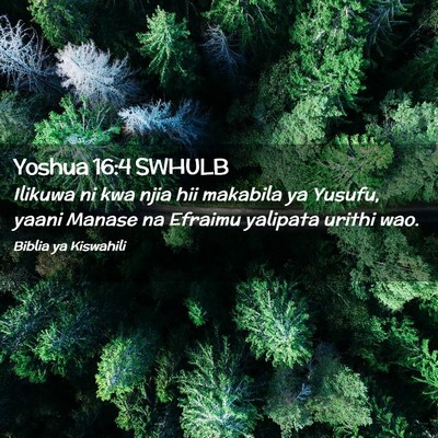 Picture 02 - Yoshua 16:4 SWHULB - Ilikuwa ni kwa njia hii makabila ya Yusufu, yaani - Bible Verse Picture