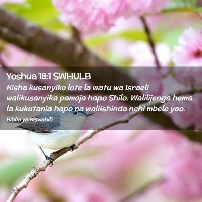Picture 02 - Yoshua 18:1 SWHULB - Kisha kusanyiko lote la watu wa Israeli - Bible Verse Picture