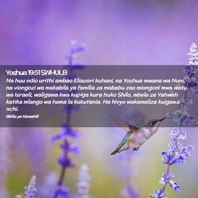 Picture 02 - Yoshua 19:51 SWHULB - Na huu ndio urithi ambao Eliazari kuhani, na - Bible Verse Picture