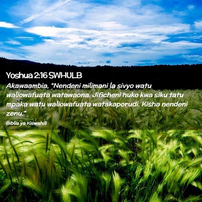 Picture 02 - Yoshua 2:16 SWHULB - Akawaambia, “Nendeni milimani la sivyo watu - Bible Verse Picture