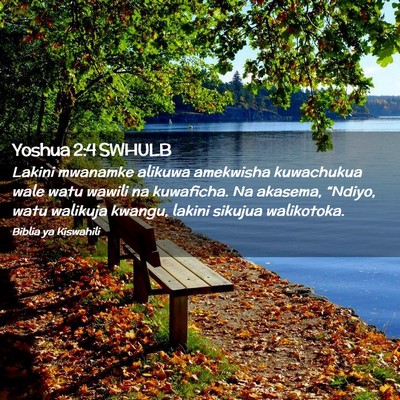 Picture 02 - Yoshua 2:4 SWHULB - Lakini mwanamke alikuwa amekwisha kuwachukua wale - Bible Verse Picture