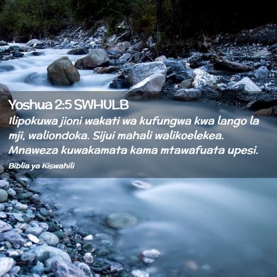 Picture 02 - Yoshua 2:5 SWHULB - Ilipokuwa jioni wakati wa kufungwa kwa lango la - Bible Verse Picture
