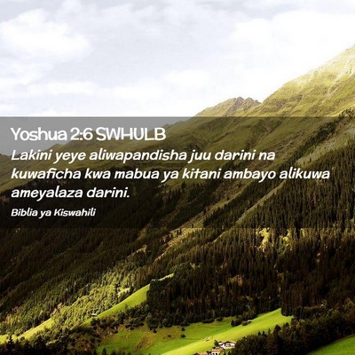 Picture 02 - Yoshua 2:6 SWHULB - Lakini yeye aliwapandisha juu darini na kuwaficha - Bible Verse Picture