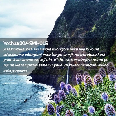 Picture 02 - Yoshua 20:4 SWHULB - Atakimbilia kwa mji mmoja miongoni mwa miji hiyo - Bible Verse Picture