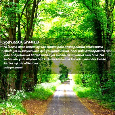 Picture 02 - Yoshua 20:6 SWHULB - Ni lazima akae katika mji ule mpaka pale - Bible Verse Picture