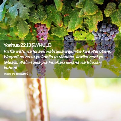 Picture 02 - Yoshua 22:13 SWHULB - Kisha watu wa Israeli walituma wajumbe kwa - Bible Verse Picture