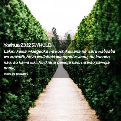 Picture 02 - Yoshua 23:12 SWHULB - Lakini kama mkiegeuka na kushikamana na watu - Bible Verse Picture