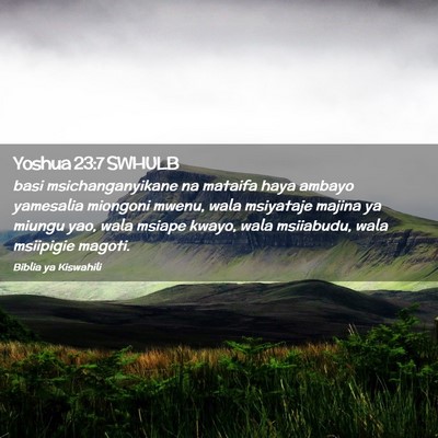 Picture 02 - Yoshua 23:7 SWHULB - basi msichanganyikane na mataifa haya ambayo - Bible Verse Picture