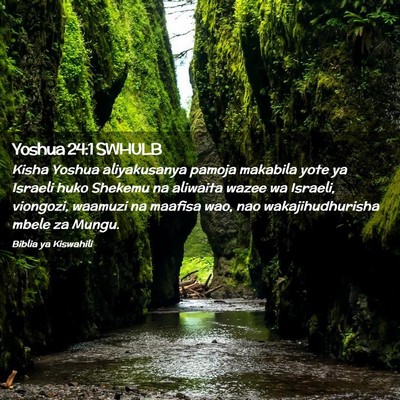Picture 02 - Yoshua 24:1 SWHULB - Kisha Yoshua aliyakusanya pamoja makabila yote ya - Bible Verse Picture