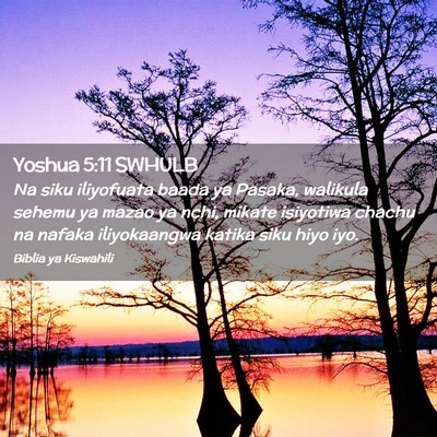 Picture 02 - Yoshua 5:11 SWHULB - Na siku iliyofuata baada ya Pasaka, walikula - Bible Verse Picture