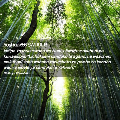 Picture 02 - Yoshua 6:6 SWHULB - Ndipo Yoshua mwana wa Nuni, aliwaita makuhani na - Bible Verse Picture
