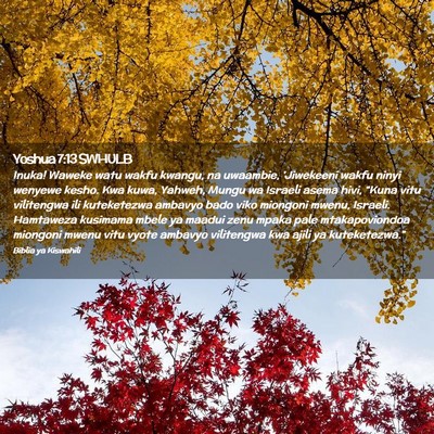 Picture 02 - Yoshua 7:13 SWHULB - Inuka! Waweke watu wakfu kwangu, na uwaambie, - Bible Verse Picture