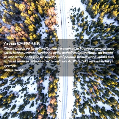 Picture 02 - Yoshua 8:24 SWHULB - Ilikuwa baada ya Israeli walipokuwa wamemaliza - Bible Verse Picture