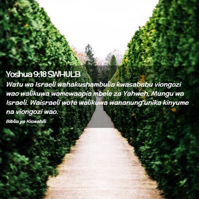 Picture 02 - Yoshua 9:18 SWHULB - Watu wa Israeli wahakushambulia kwasababu - Bible Verse Picture