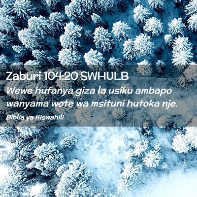 Picture 02 - Zaburi 104:20 SWHULB - Wewe hufanya giza la usiku ambapo wanyama wote wa - Bible Verse Picture