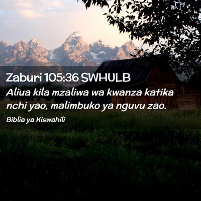 Picture 02 - Zaburi 105:36 SWHULB - Aliua kila mzaliwa wa kwanza katika nchi yao, - Bible Verse Picture