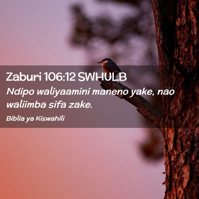 Picture 02 - Zaburi 106:12 SWHULB - Ndipo waliyaamini maneno yake, nao waliimba sifa - Bible Verse Picture