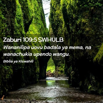 Picture 02 - Zaburi 109:5 SWHULB - Wananilipa uovu badala ya mema, na wanachukia - Bible Verse Picture