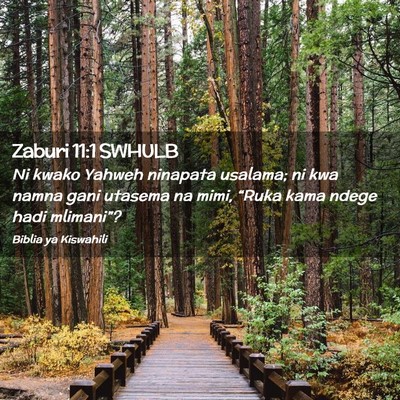 Picture 02 - Zaburi 11:1 SWHULB - Ni kwako Yahweh ninapata usalama; ni kwa namna - Bible Verse Picture
