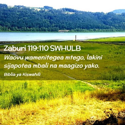 Picture 02 - Zaburi 119:110 SWHULB - Waovu wamenitegea mtego, lakini sijapotea mbali - Bible Verse Picture