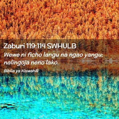 Picture 02 - Zaburi 119:114 SWHULB - Wewe ni ficho langu na ngao yangu; nalingoja neno - Bible Verse Picture