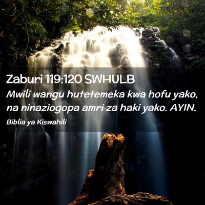 Picture 02 - Zaburi 119:120 SWHULB - Mwili wangu hutetemeka kwa hofu yako, na - Bible Verse Picture