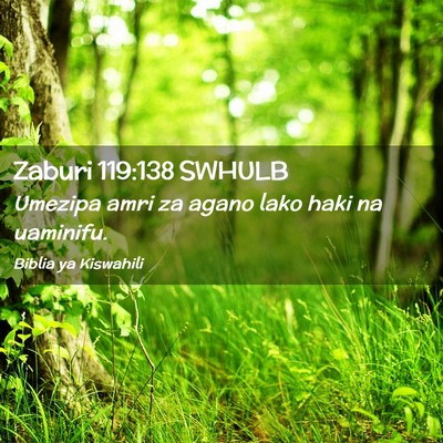 Picture 02 - Zaburi 119:138 SWHULB - Umezipa amri za agano lako haki na - Bible Verse Picture