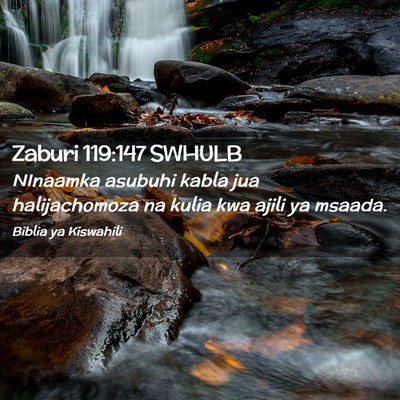 Picture 02 - Zaburi 119:147 SWHULB - NInaamka asubuhi kabla jua halijachomoza na kulia - Bible Verse Picture