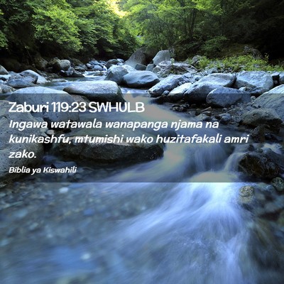Picture 02 - Zaburi 119:23 SWHULB - Ingawa watawala wanapanga njama na kunikashfu, - Bible Verse Picture