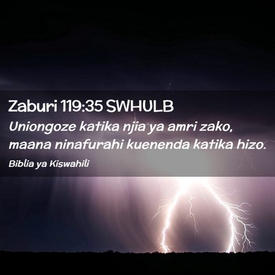 Picture 02 - Zaburi 119:35 SWHULB - Uniongoze katika njia ya amri zako, maana - Bible Verse Picture