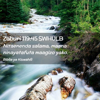 Picture 02 - Zaburi 119:45 SWHULB - Nitaenenda salama, maana ninayatafuta maagizo - Bible Verse Picture