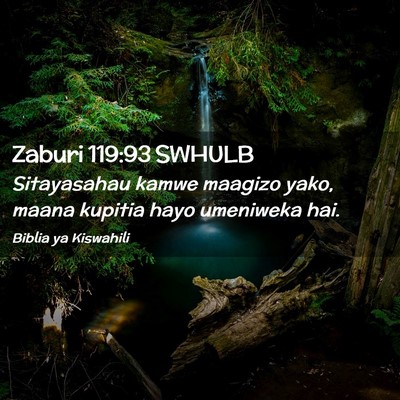 Picture 02 - Zaburi 119:93 SWHULB - Sitayasahau kamwe maagizo yako, maana kupitia - Bible Verse Picture