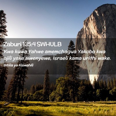 Picture 02 - Zaburi 135:4 SWHULB - Kwa kuwa Yahwe amemchagua Yakobo kwa ajili yake - Bible Verse Picture