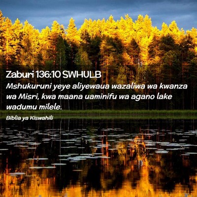 Picture 02 - Zaburi 136:10 SWHULB - Mshukuruni yeye aliyewaua wazaliwa wa kwanza wa - Bible Verse Picture