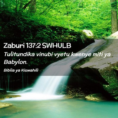 Picture 02 - Zaburi 137:2 SWHULB - Tulitundika vinubi vyetu kwenye miti ya - Bible Verse Picture