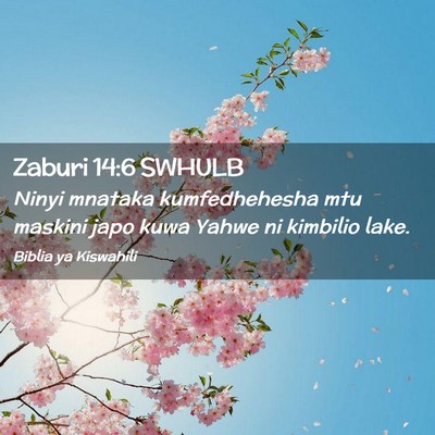 Picture 02 - Zaburi 14:6 SWHULB - Ninyi mnataka kumfedhehesha mtu maskini japo kuwa - Bible Verse Picture